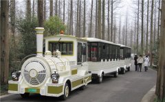 無(wú)軌小火車多少錢一輛？掙錢嗎？