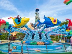 轉(zhuǎn)馬的異響使客人滿意度不高，如何化解