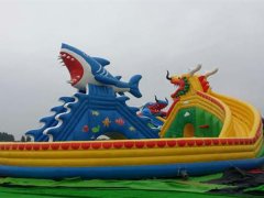 水上娛樂設備是否真正值得挑選？